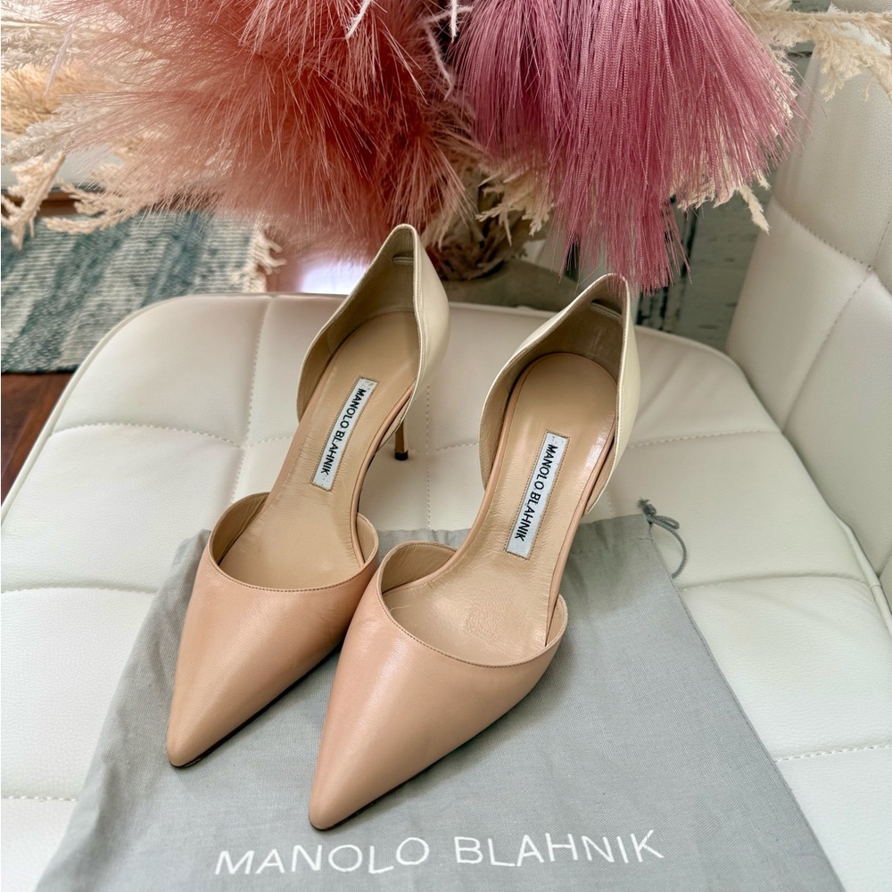 Manolo Blahnik Two-Tone Leather D’Orsay Pumps – Size 40 - Picture 2 of 11